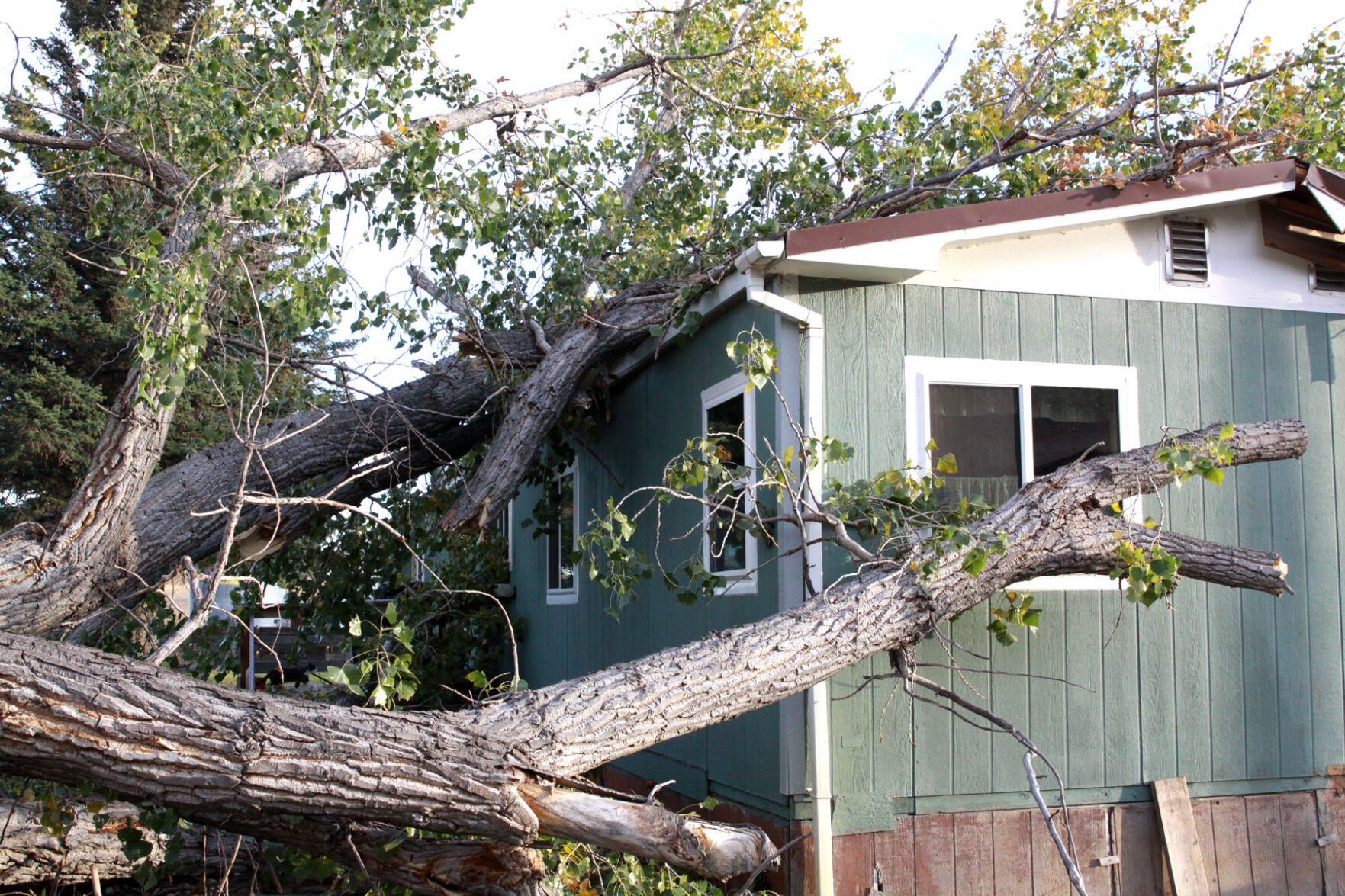 Tree damages rural home